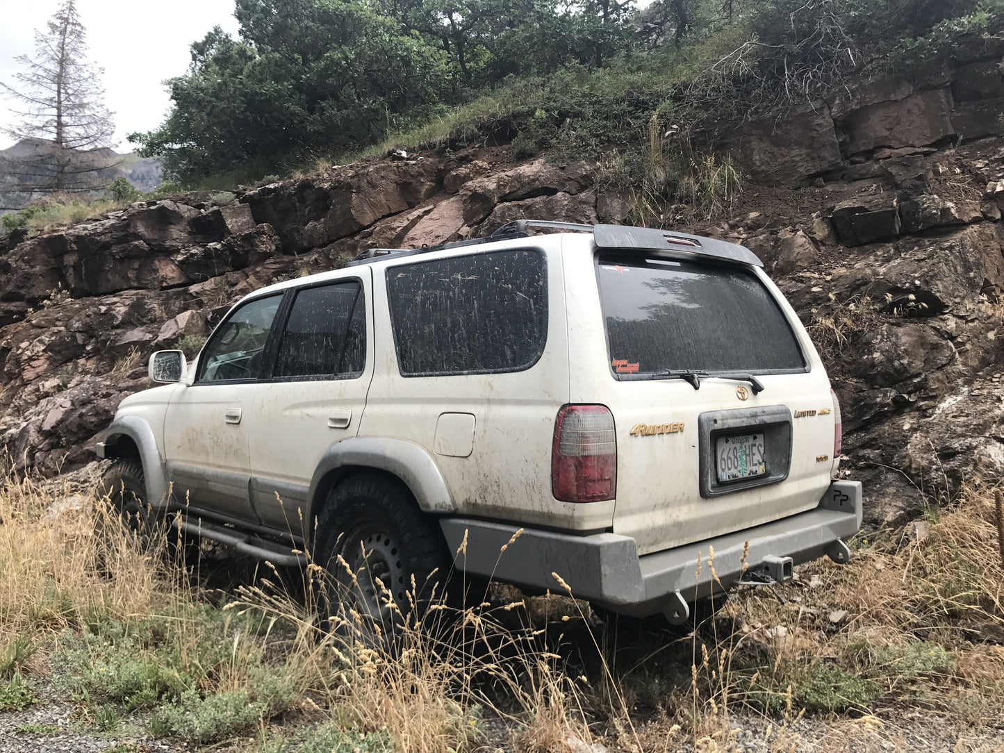 3rd gen (1996-2002) Toyota 4Runner Type 4 Rock Slider